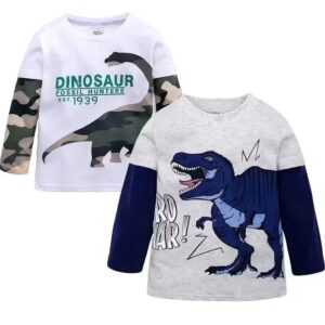 Boys Long sleeved Cotton Tshirt Grey Dinosaur 4 Years